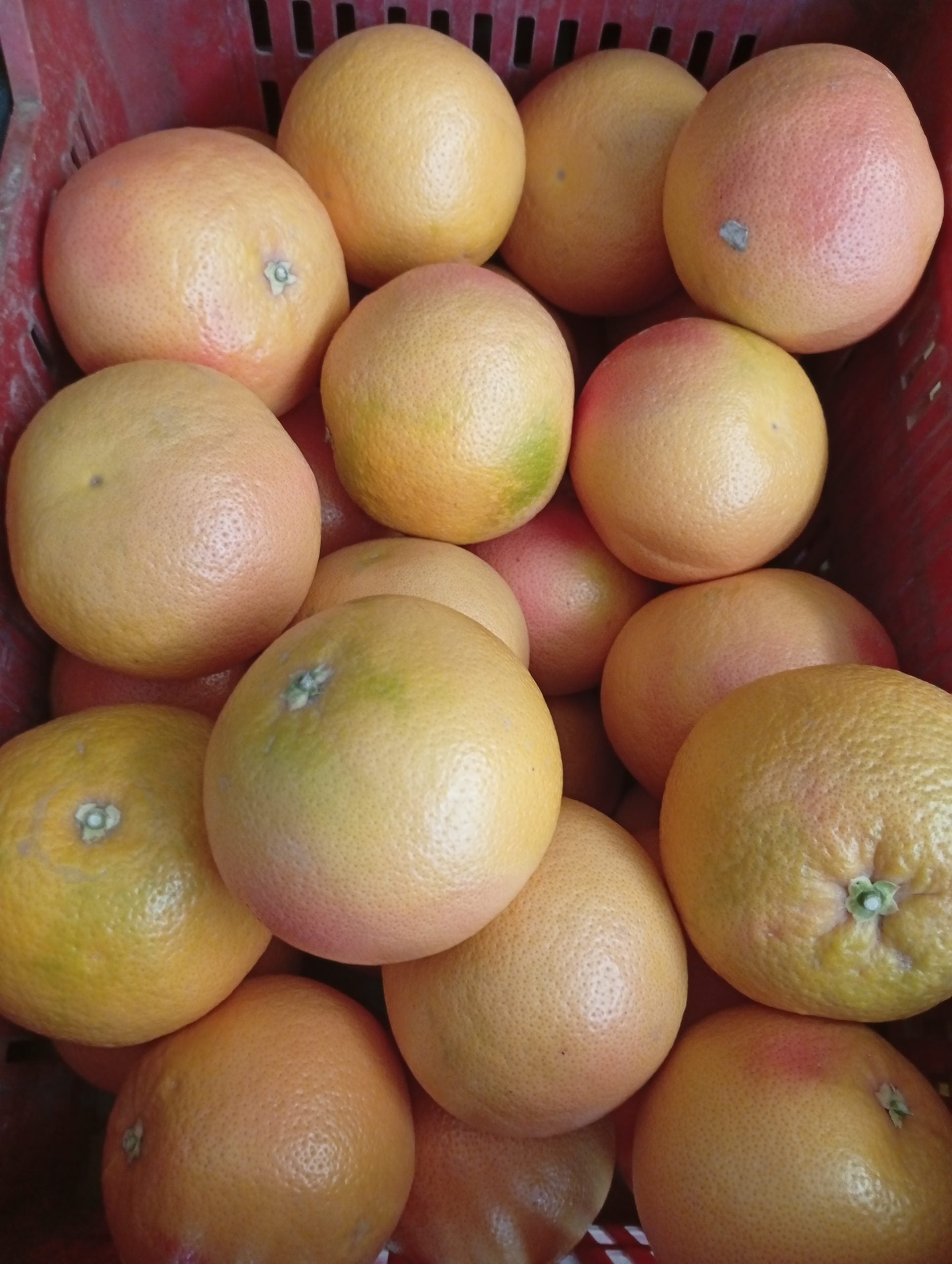 8. Pomelo