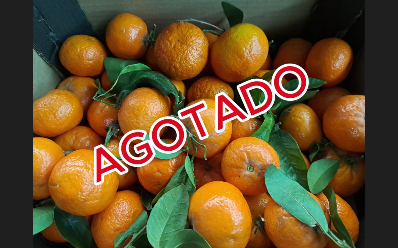 3. Mandarina Orri Gourmet a partir de 3kg AGOTADO